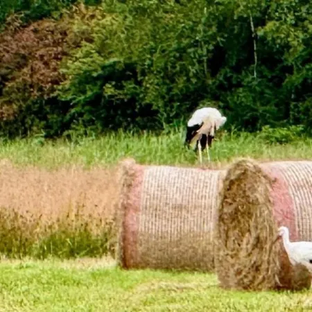 Neu! Weitblick Apartmán *