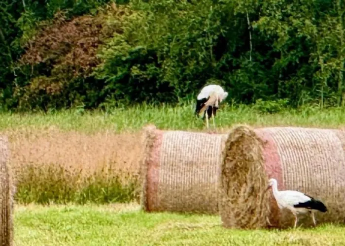 Neu! Weitblick Appartamento *