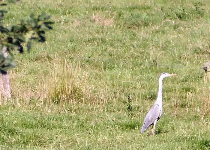 Appartamento Neu! Weitblick Jever